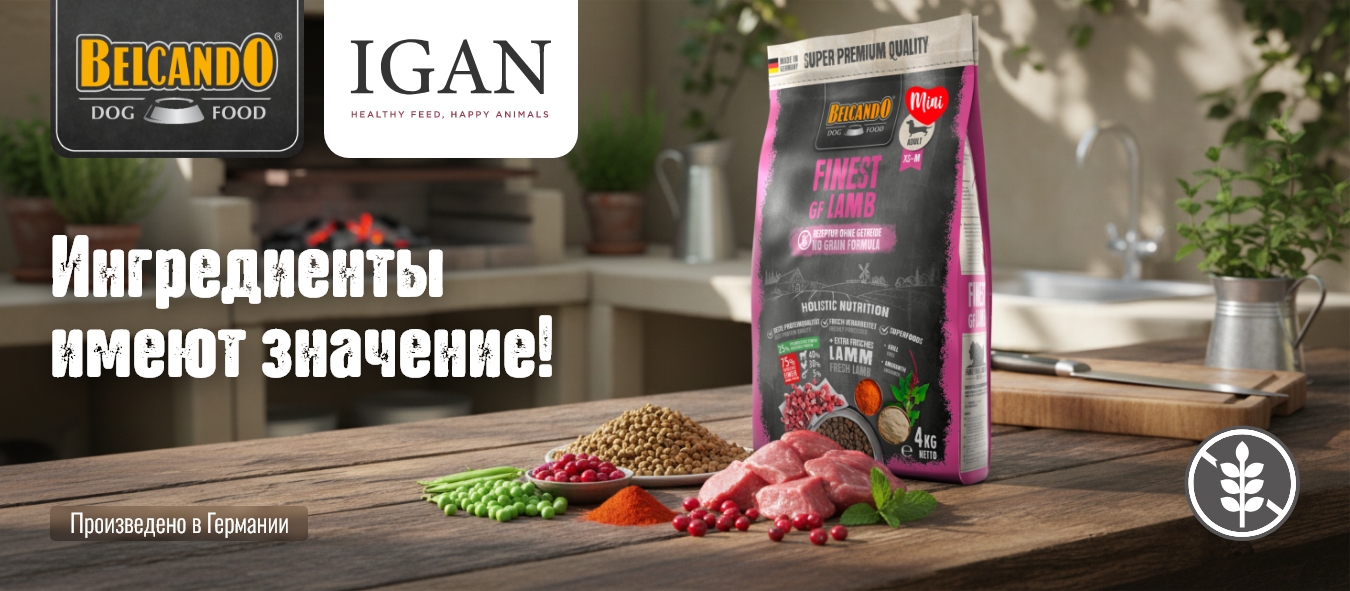 Описание изображения